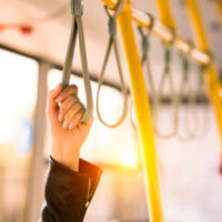 bus